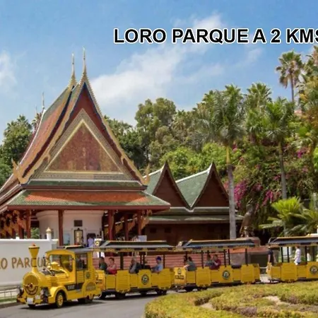 Toplage. Blick. Sauber. Guenstig. Pool. Gepflegt Apartman