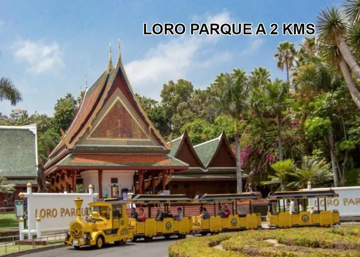 Toplage. Blick. Sauber. Guenstig. Pool. Gepflegt Appartement